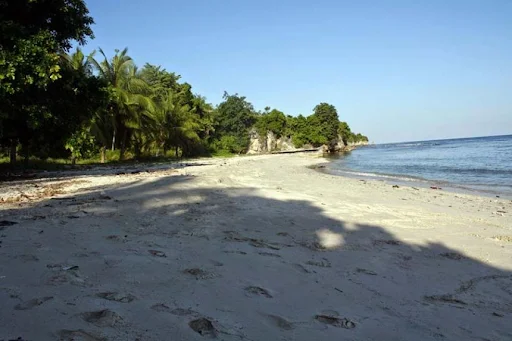 Wisata Bekasi Pantai Muara - CIMB Niaga